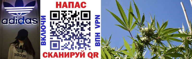 Все наркотики Новошахтинск СК  Амфетамин  ГАШ  ЭКСТАЗИ  Меф  Канабис  ГЕРОИН 