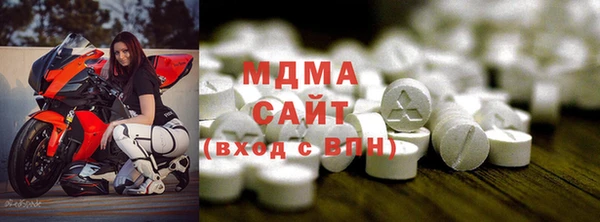 индика Козельск