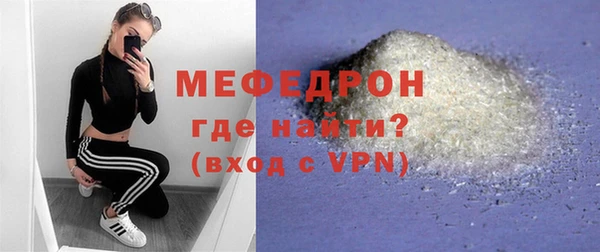 индика Козельск