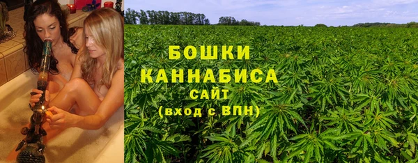 дмт Кодинск