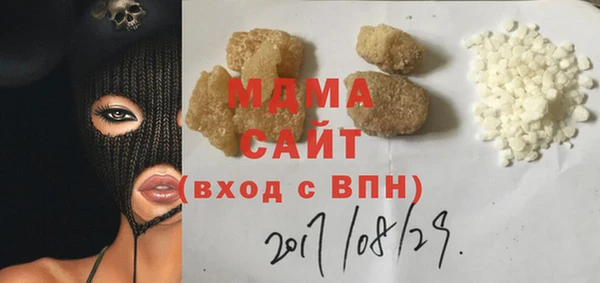 индика Козельск