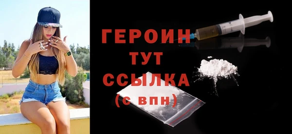 индика Козельск