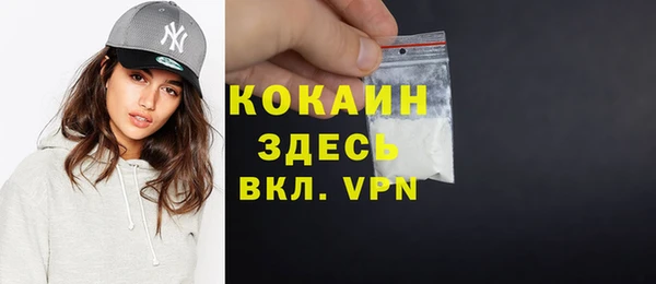 дмт Кодинск
