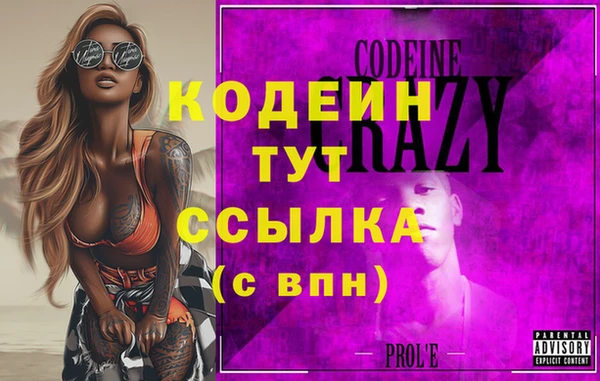 дмт Кодинск