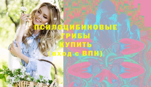 индика Козельск