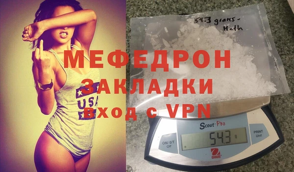 индика Козельск
