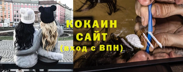 индика Козельск