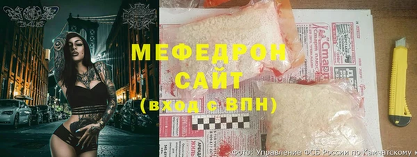 индика Козельск