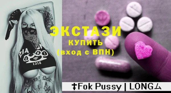 индика Козельск