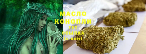 индика Козельск
