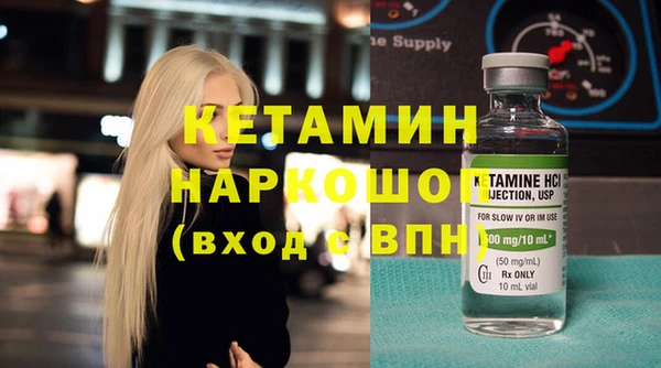 индика Козельск