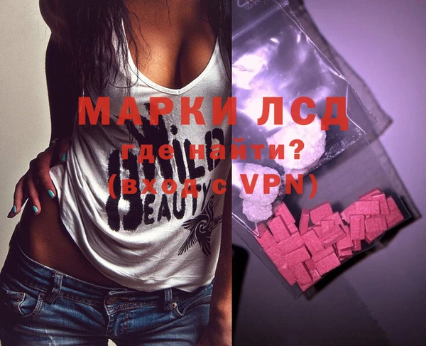 индика Козельск