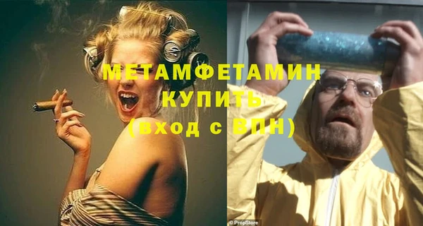 индика Козельск