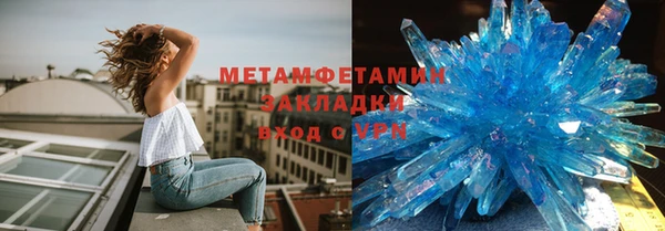 индика Козельск