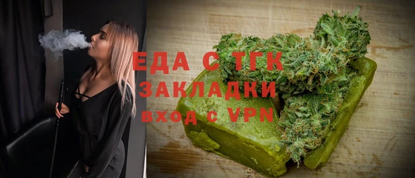индика Козельск