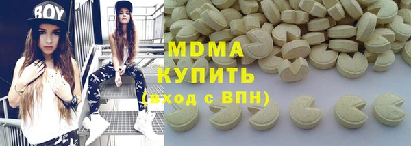 индика Козельск