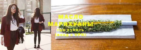 индика Козельск